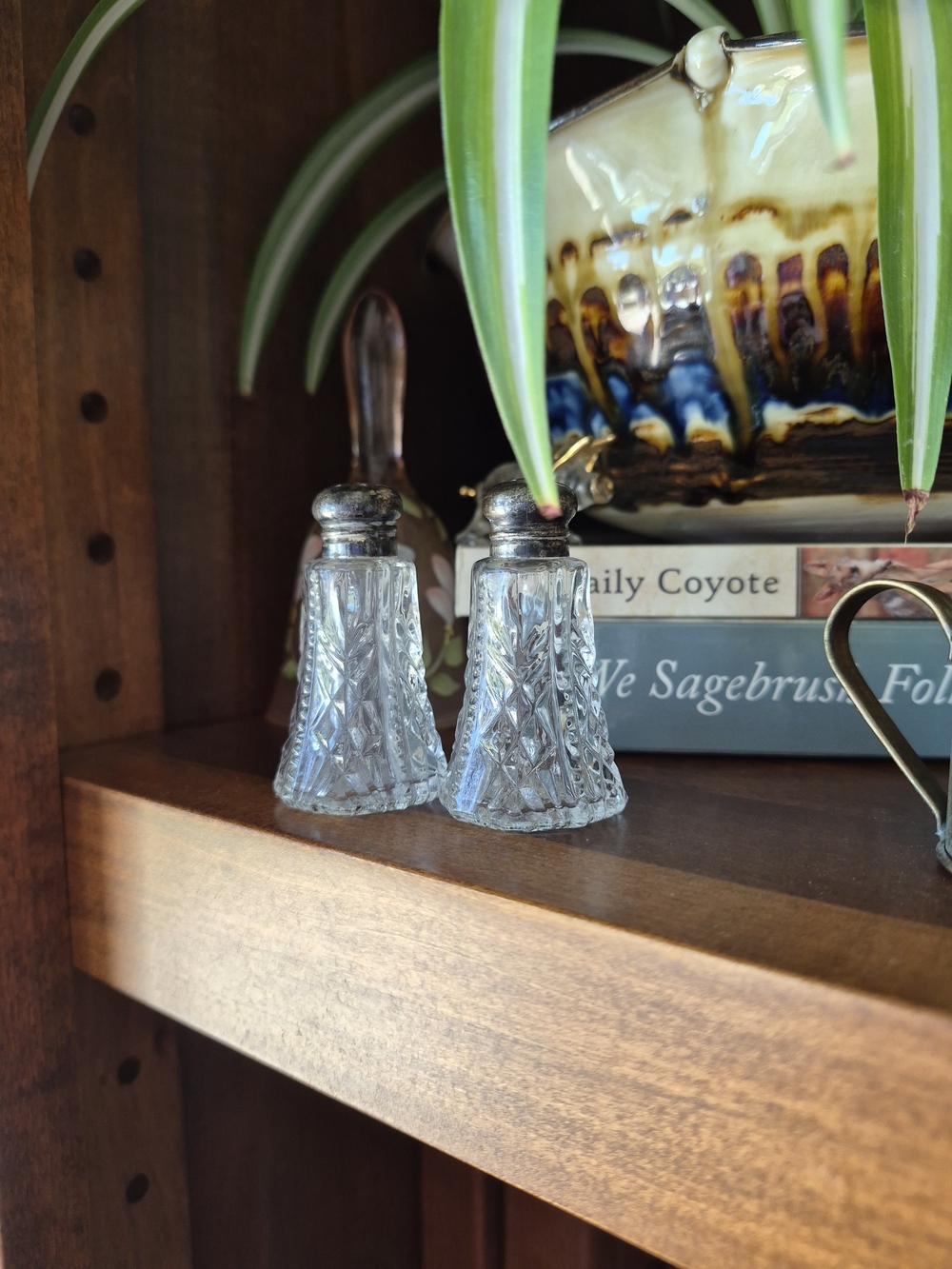 Cut Glass Salt and Pepper Shakers with Silver Tops - Clear